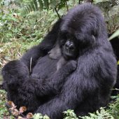  Mother and Baby (Rwanda)